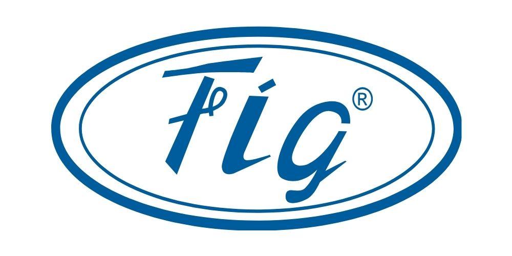 Logo FIG